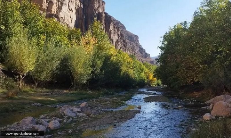 پوشش گیاهی دره ال مشهد